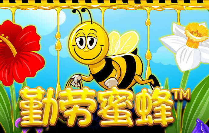 新利体育官网入口app